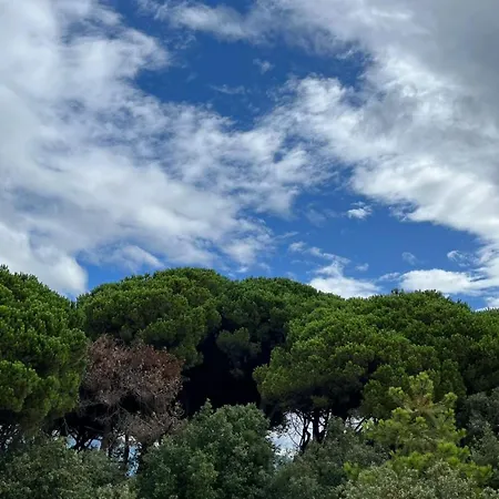 Casetta In Versilia 维亚雷焦