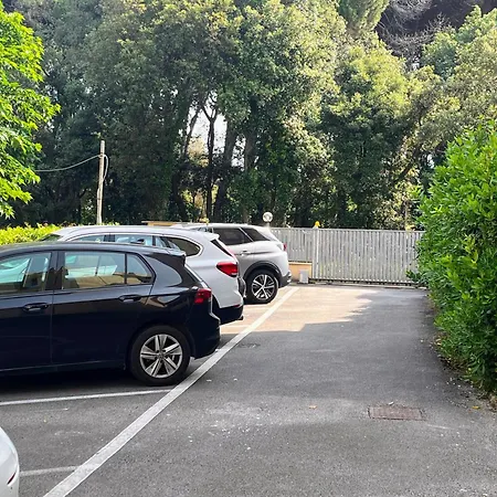 Casetta In Versilia * 维亚雷焦